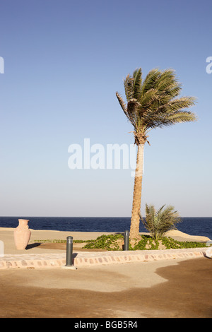 Marsa Alam, Coraya Bay Stockfoto