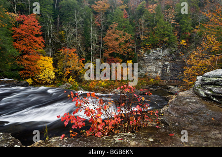 Herbst-Farbe und Cane Creek Wasserfall im Herbst Creek Falls State Park in Tennessee Stockfoto