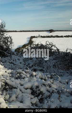 Schnee fällt in den South Downs National Park. Stockfoto