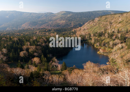 Japan, Insel Honshu, Towada Hachimantai National Park, Hachimanuma Teich Stockfoto