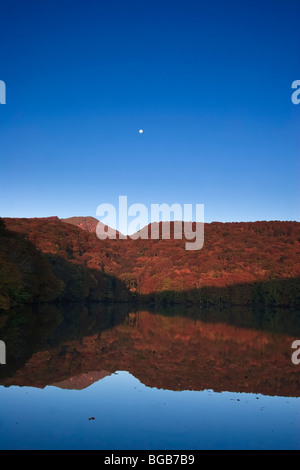 Japan, Insel Hokkaido, Tohoku, Aomori, Towada-See, Tsutanuma Teich Stockfoto