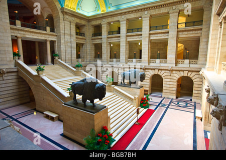 Die große Treppe von der Legislative Building Leben auf jeder Seite flankiert Größe Bronzestatuen von zwei North American Bison, C Stockfoto