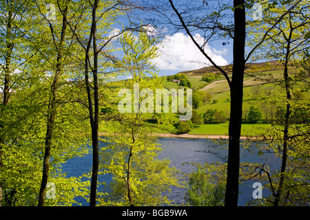 Blick durch den Wald über Ladybower Vorratsbehälter an einem sonnigen Frühlingstag im oberen Derwent Valley in Derbyshire, England, Stockfoto