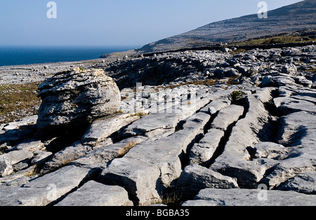 Irland, County Clare, die Burren. Einzelne Felsbrocken im Karst Kalkstein Pflaster mit Slieve Elva und Atlantischen Ozean hinaus. Stockfoto