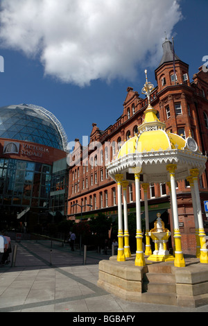 Irland, Norden, Belfast, Victoria Street, gelb und weiß überdachte Jaffe Brunnen am Eingang zu den Victoria Square Geschäften Stockfoto