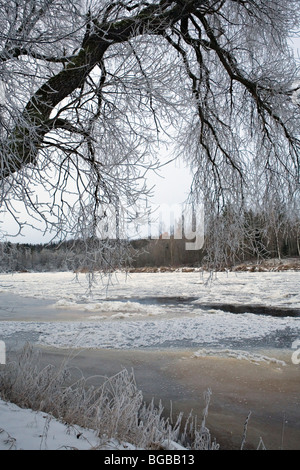 Malerischen Gauja Fluss Gauja Nationalpark Vidzeme Lettlands Stockfoto