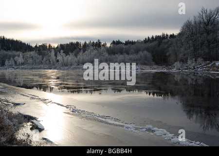 Winterliche Gauja Fluss im Gauja-Nationalpark in der Nähe von Sigulda in Vidzeme Lettland Stockfoto