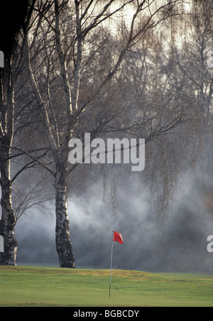 Morgennebel auf einem Golfplatz Stockfoto