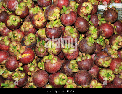 Mangostan-Frucht auf einem Markt in Bangkok, Thailand. Stockfoto