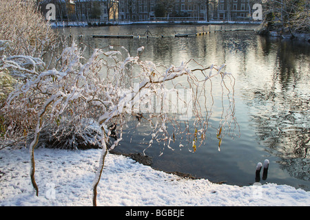 Ein Wasserhuhn gleiten durch einen eisigen See, Crystal Palace Park Stockfoto