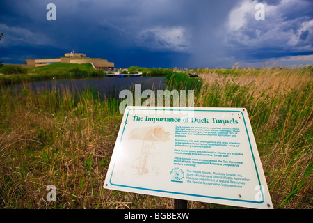 Melden Sie sich, erklären die Bedeutung der Ente Tunnels an der Oak Hängematte Marsh Interpretive Centre in der Nähe von Stonewall, Manitoba, Kanada. Stockfoto