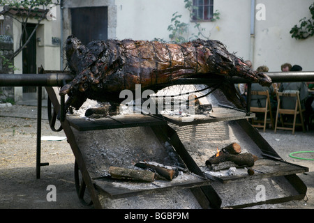 Ein Schwein braten auf der mittelalterlichen Messe von Besalú, Katalonien, Spanien Stockfoto