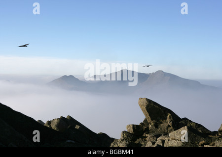 Blick von der Spitze der Moel Siabod Snowdonia North Wales auf Snowdon Stockfoto