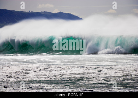 Big Surf in Sunset Beach, North Shore, Oahu, Hawaii Stockfoto