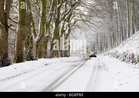 Allee der Buche und Auto im Winter, Fife, Schottland Stockfoto