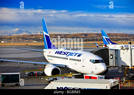 Ein WestJet Boeing 737-600 Flugzeug auf dem Vorfeld des Flughafen von Calgary mit den Gebäuden der Innenstadt von Calgary im Hintergrund, Stockfoto