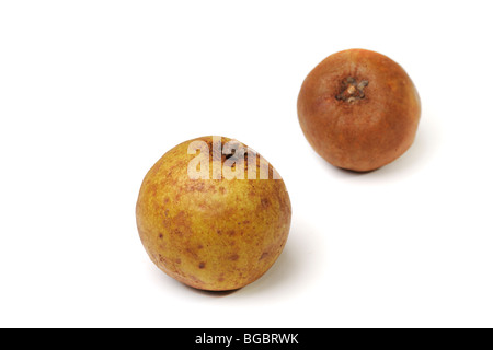 Südamerikanische Sapoti oder Sapote, (Quararibea Cordata = Matisia Cordata) auf weißem Hintergrund Stockfoto
