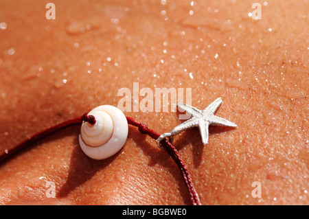 Seestern, Schalen, Schmuck, Haut, Ibiza, Kiefer-Inseln, Balearen, Spanien, Europa Stockfoto