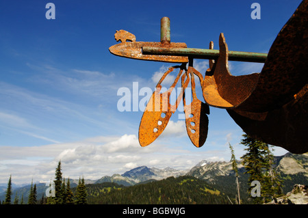 Native American Iron Chef, Mount Revelstoke, Wiesen in den Himmel, Revelstoke National Park, Britisch-Kolumbien, Kanada Stockfoto