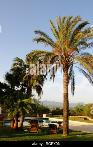 Hotel Agroturismo kann Lluc, Ibiza, Kiefer-Inseln, Balearen, Spanien, Europa Stockfoto