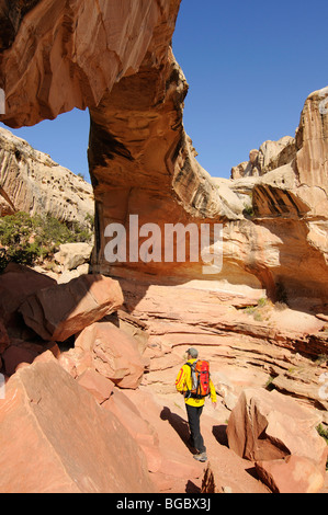 Wanderer, Hickman Bridge, Capitol Reef National Park, Utah, USA Stockfoto