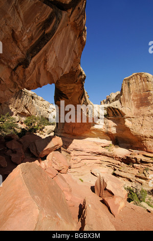 Hickman Bridge, Capitol Reef National Park, Utah, USA Stockfoto