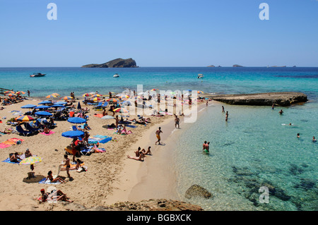 Strand, Cala Conta, Ibiza, Kiefer-Inseln, Balearen, Spanien, Europa Stockfoto