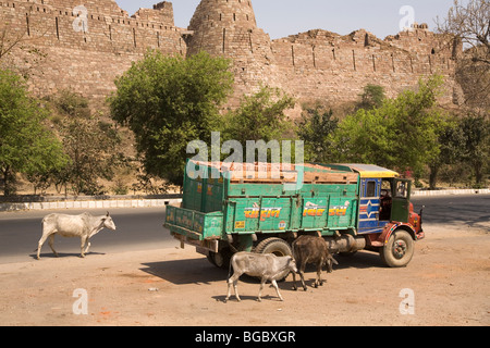 Rinder Fuß durch einen LKW geparkt auf der Seite der Autobahn vor Tughluqabad Festung in Delhi, Indien. Stockfoto