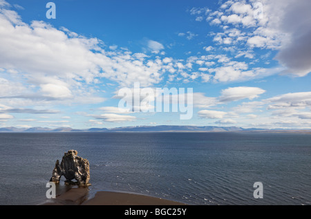 Hvítserkur, Felsformation in Hunafjordur, Halbinsel Vatnsnes, Norden von Island Stockfoto