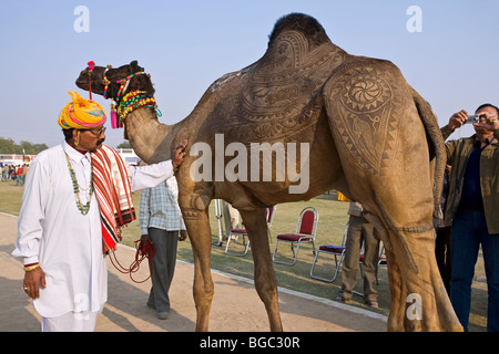 Indischer Mann Überprüfung der Kamelhaut Dekoration. Bikaner Camel Festival. Rajasthan. Indien. Stockfoto