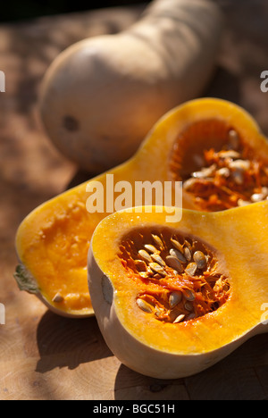 Butternut-Kürbis geschnitten, um die Samen zu offenbaren Stockfoto