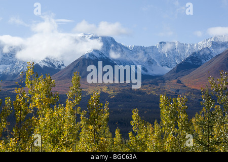 Indian Summer am Alaska Highway verlässt in Herbstfarben, St. Elias Mountains hinter Kluane Nationalpark und Reserve, Yukon Stockfoto
