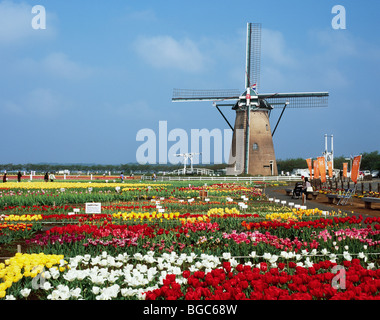 Windmühle, Sakura, Chiba, Japan Stockfoto