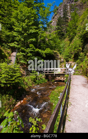 Lierbach Fluss an der Allerheiligenwasserfaelle Allerheiligen Wasserfälle, Oppenau, Schwarzwald, Baden-Württemberg, Deutschland, Eu Stockfoto