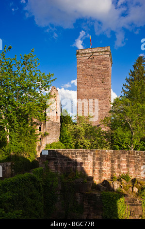 Burgruine Zavelstein Burgruine, Bad Teinach-Zavelstein, Schwarzwald, Baden-Württemberg, Deutschland, Europa Stockfoto