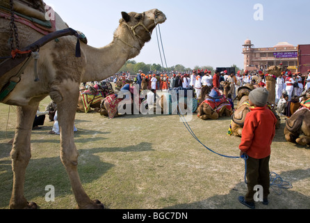 Indischer Junge mit seinem Kamel. Bikaner Camel Festival. Rajasthan. Indien Stockfoto