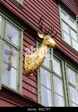 Golden Elch Kopf an der Fassade eines alten Handel Haus, Bryggen, Hansestadt Bereich Stadtteils von Bergen, Norwegen, Skandinavien, Norther Stockfoto