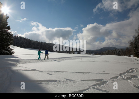 Skilangläufer am Titisee-See im verschneiten Schwarzwald, Baden-Württemberg, Deutschland, Europa Stockfoto