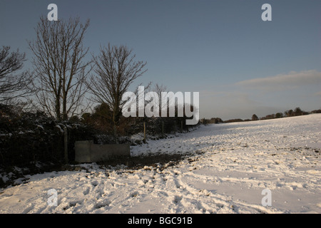 Schnee fällt in den South Downs National Park. Stockfoto
