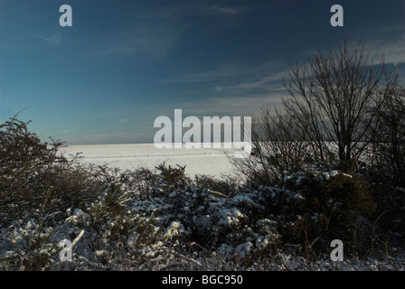 Schnee fällt in den South Downs National Park Stockfoto