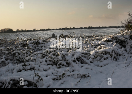Schnee fällt in den South Downs National Park. Stockfoto