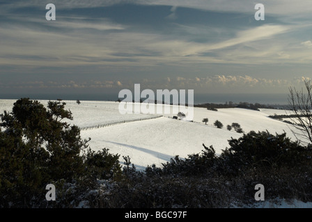 Schnee fällt in den South Downs National Park. Stockfoto