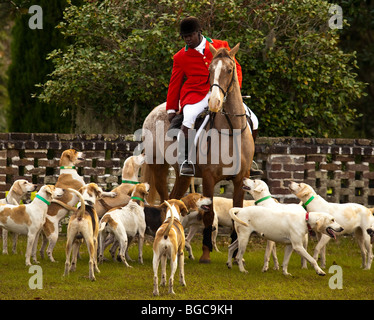 Meister der Hunde bei der Middleton Place Fuchsjagd auf der Greensward der Plantage Haus Charleston, SC Stockfoto