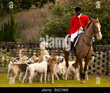 Meister der Hunde bei der Middleton Place Fuchsjagd auf der Greensward der Plantage Haus Charleston, SC Stockfoto