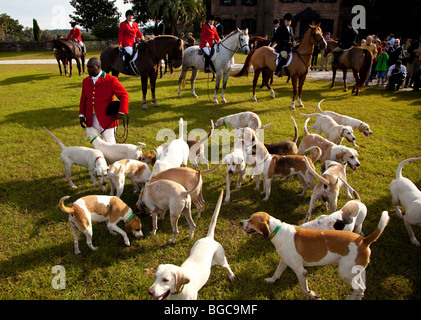 Meister der Hunde bei der Middleton Place Fuchsjagd vor Beginn der Jagd Charleston, SC Stockfoto