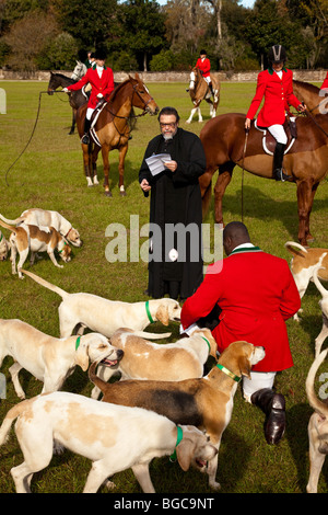 Segnung der Jagdhunden und Fox Jäger zu Beginn der Fuchs Jagd Saison Middleton Place Plantage in Charleston, SC Stockfoto