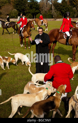 Segnung der Jagdhunden und Fox Jäger zu Beginn der Fuchs Jagd Saison Middleton Place Plantage in Charleston, SC Stockfoto