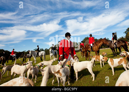 Jamie Greene, Meister der Hunde während einer Foxhunt an Middleton Place Plantage Charleston, SC, USA Stockfoto