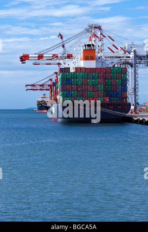 Container-Schiffe im Hafen Stockfoto