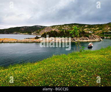 Malerische Küsten Aussicht auf felsigen Ufer Atlantik in Neufundland, Kanada Stockfoto